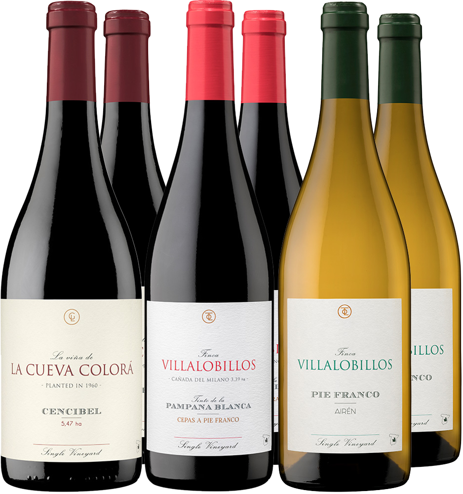 Bodega García de Lara Probierpaket Castilla VT