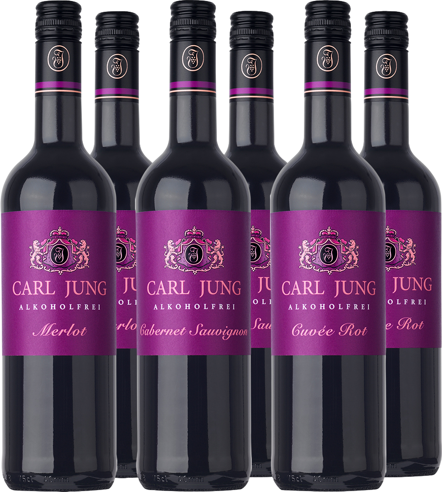 Rotwein-Paket gemischt (6 Flaschen)