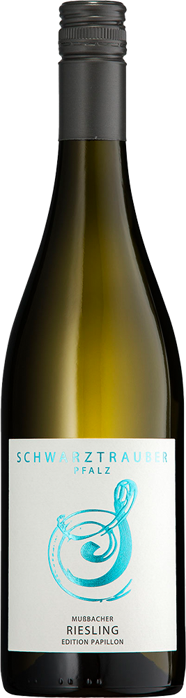 2025 Riesling Mußbacher BIO