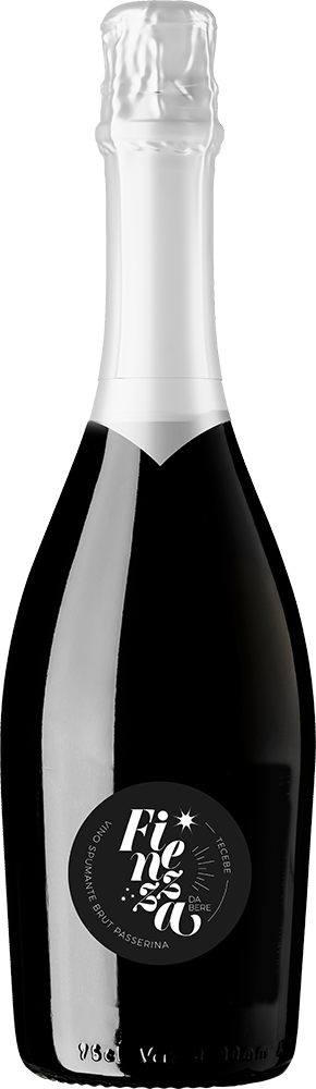 2024 Finezza-Tecebe