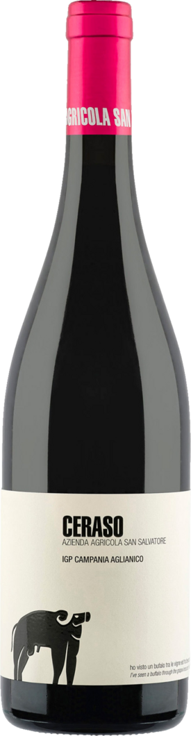 2023 San Salvatore Ceraso Aglianico