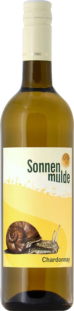 2024 Chardonnay BIO