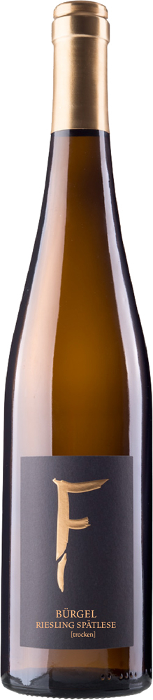 2023 DALSHEIMER BÜRGEL Riesling LAGENWEIN BIO