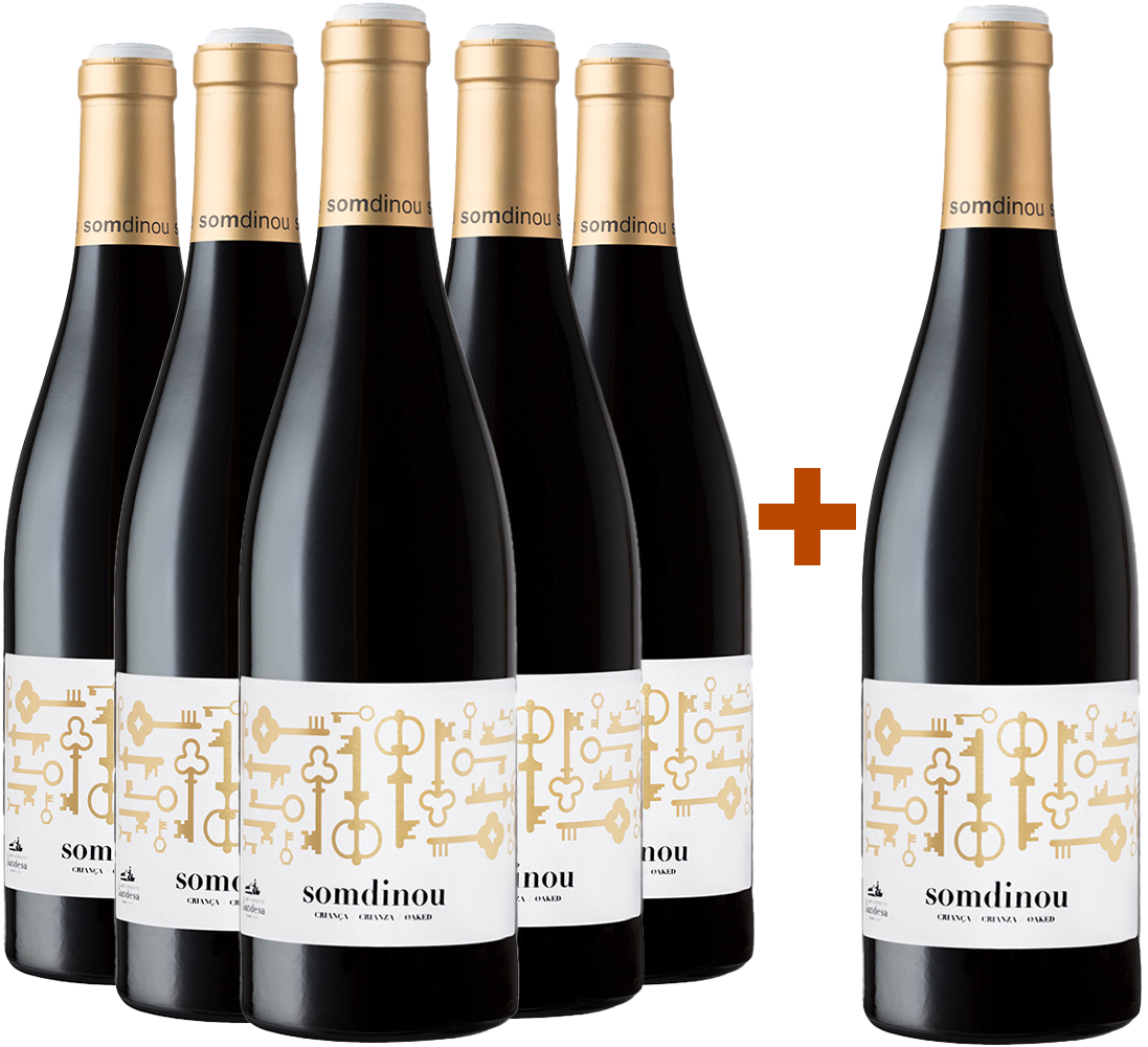 5+1 Somdinou Tinto Crianza Terra Alta DO BIO