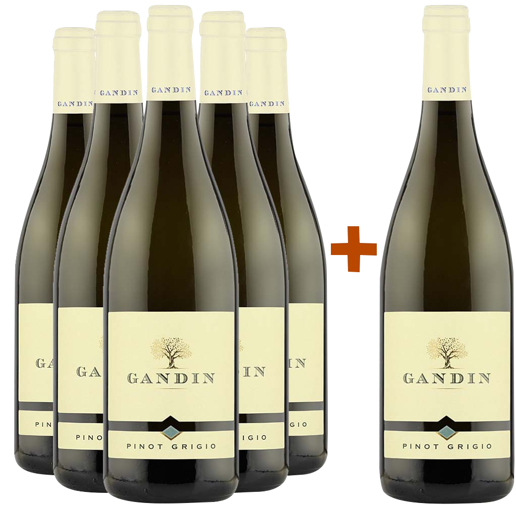 5+1 Paket Pinot Grigio Friuli Isonzo DOC