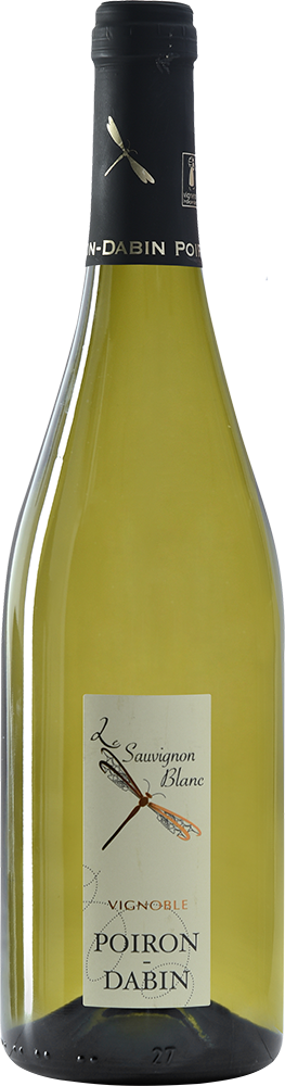 2024 Cuvée "Sauvignon Blanc" Val de Loire IGP