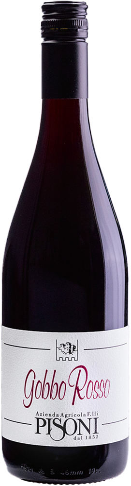 2024 Gobbo Teroldego Vigneti delle Dolomiti IGP BIO
