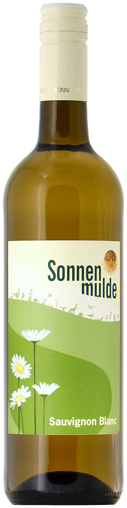 2024 Sauvignon Blanc BIO