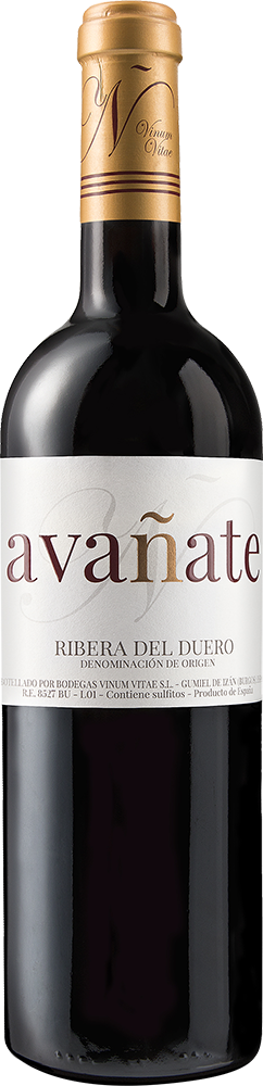 2022 Avañate Ribera del Duero DO