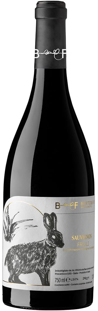 2023 Sauvignon Friuli DOC