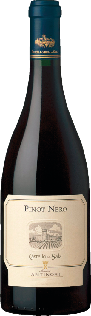 2022 Pinot Nero della Sala
