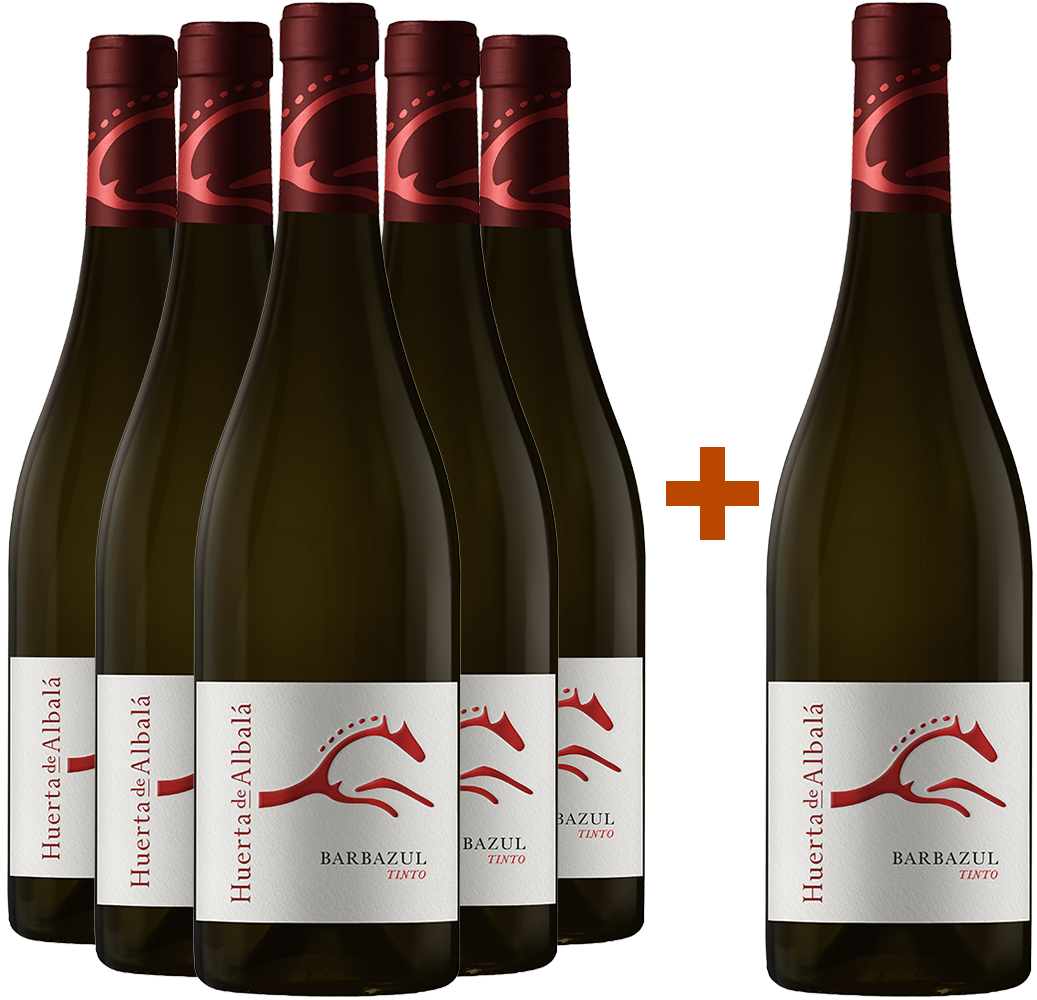 Barbazul Tinto 5+1 Aktionspaket Cádiz VT