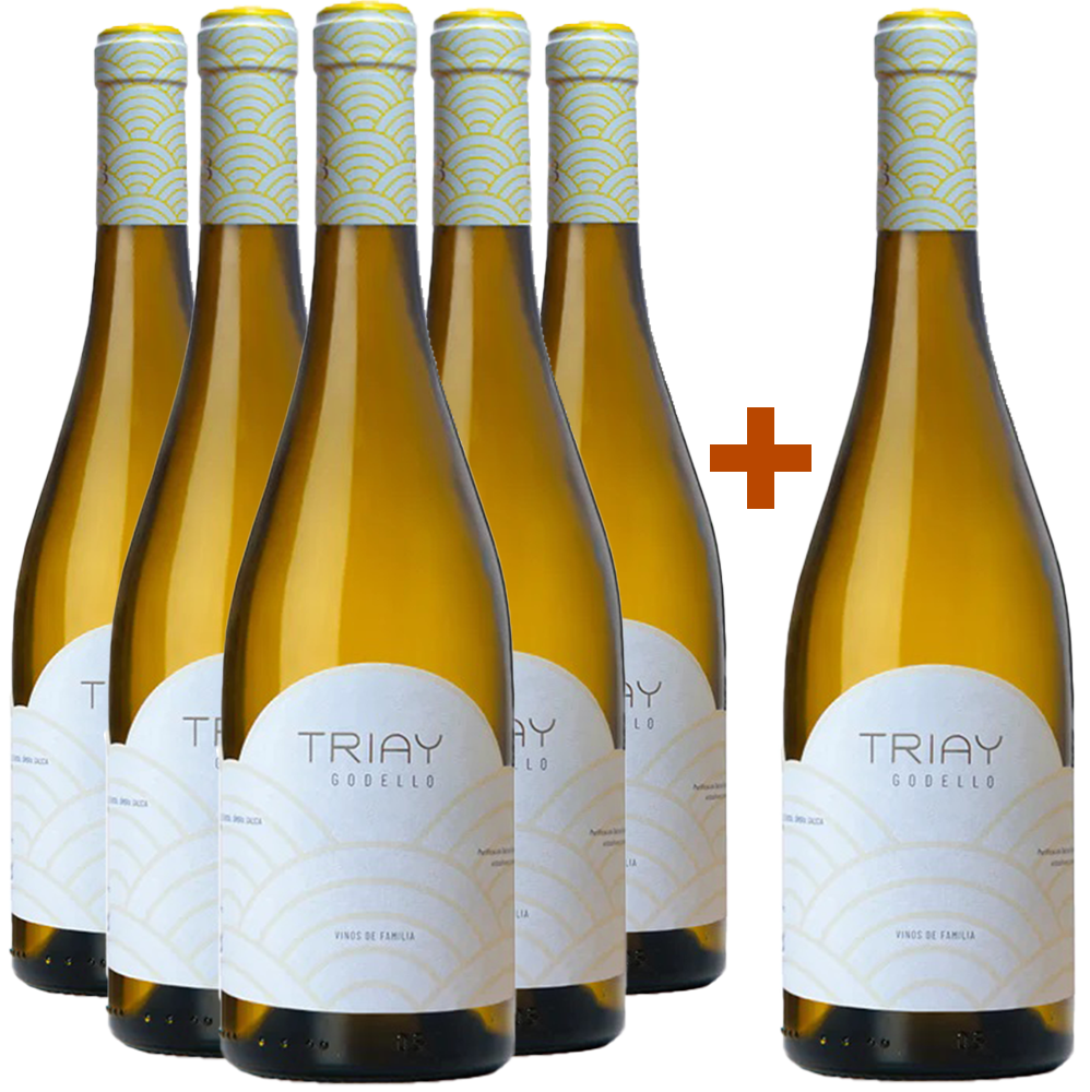 5+1 Aktionspaket Triay Godello Monterrei DO