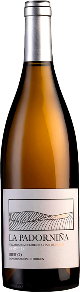 2019 La Padorniña Godello Bierzo DO
