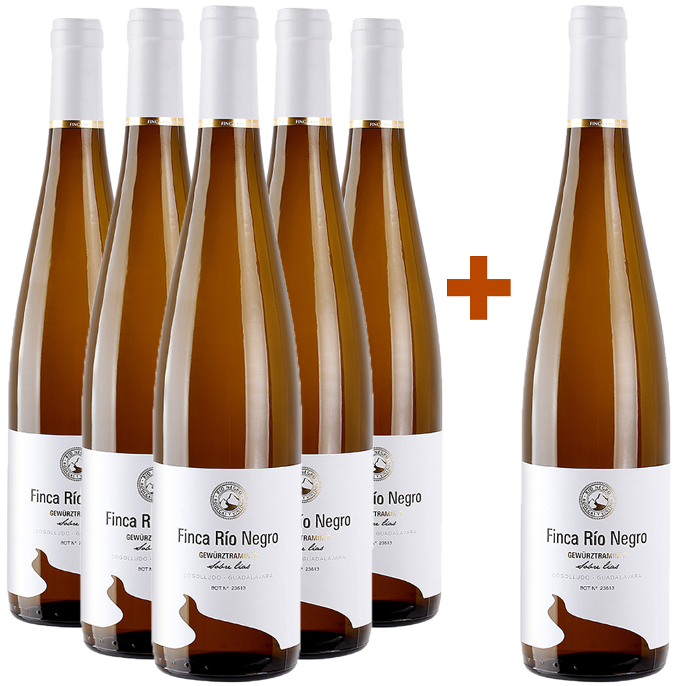 5+1 Aktionspaket Gewürztraminer Castilla VT BIO