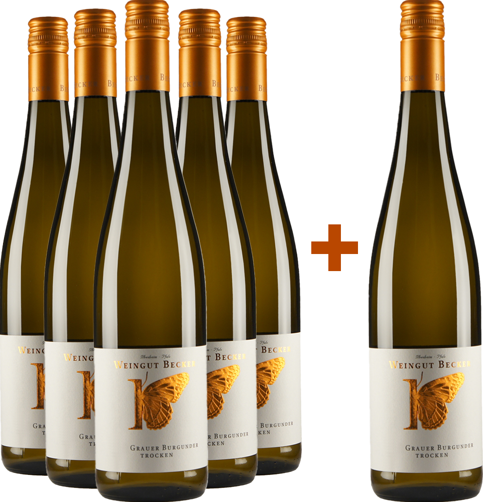 5+1 Paket Grauer Burgunder trocken BIO BIO