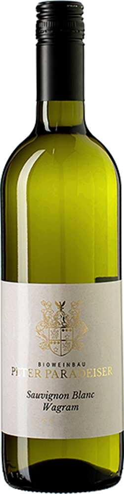2024 Sauvignon Blanc BIO