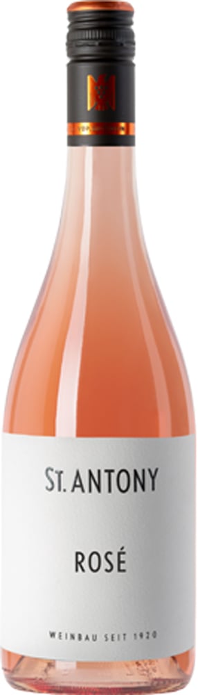 2025 Rosé BIO