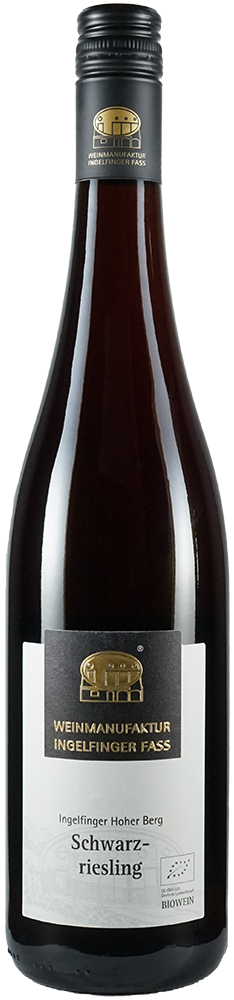 2023 Schwarzriesling BIO