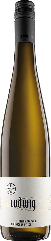 2023 Riesling 'shades of slate'