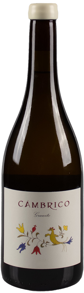 2021 Cámbrico Rufete Blanco Granito Sierra de Salamanca DOP BIO