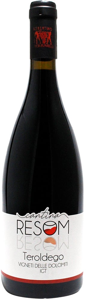 2019 Teroldego Vigneti delle Dolomiti IGP