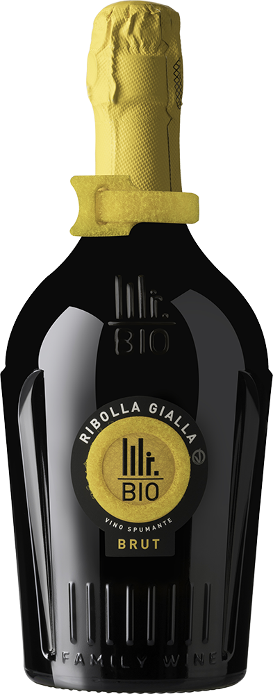 2022 Spumante Ribolla Gialla BIO
