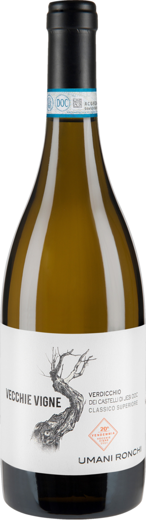 2021 Vecchie Vigne Verdicchio dei Castelli BIO