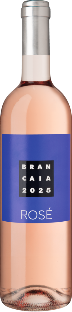 2025 Brancaia Rosé BIO