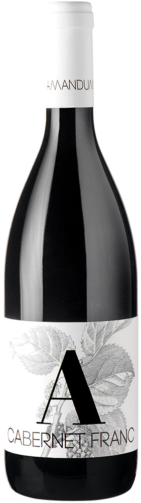2019 Cabernet Franc Venezia Giulia IGP