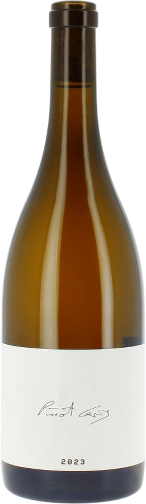 2023 PINOT GRIS | TERROIR