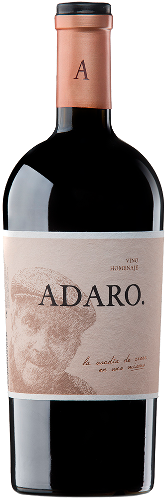 2023 Pradorey Adaro Ribera del Duero DO BIO