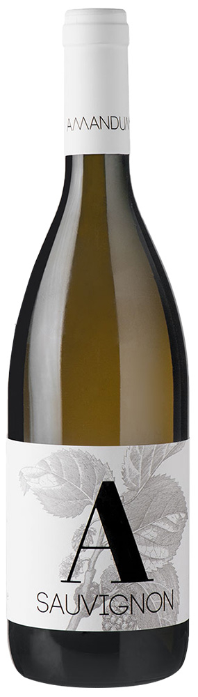 2023 Sauvignon Friuli Isonzo DOC