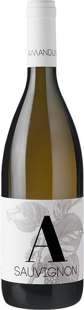 2023 Sauvignon Friuli Isonzo DOC