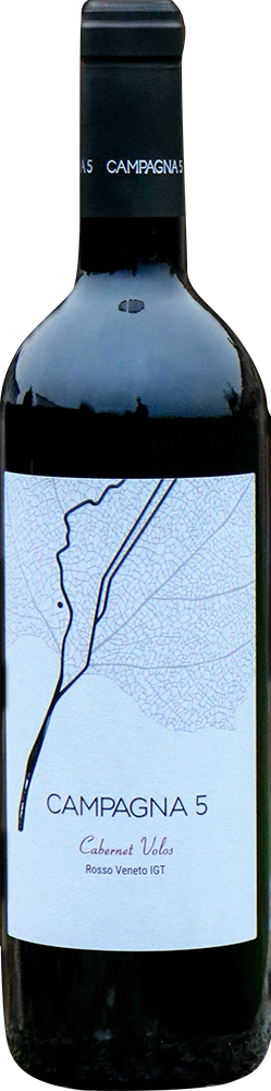 2022 Cabernet Volos Veneto IGP
