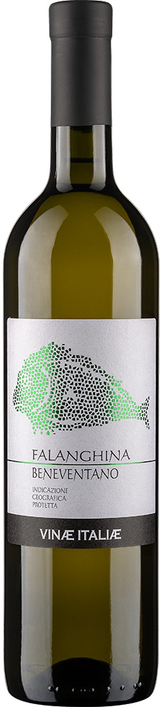 2023 Fala Falanghina del sannio DOC