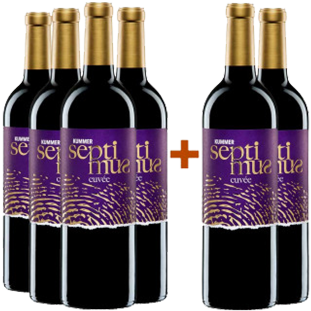 4+2 Cuvée SEPTIMUS Paket trocken