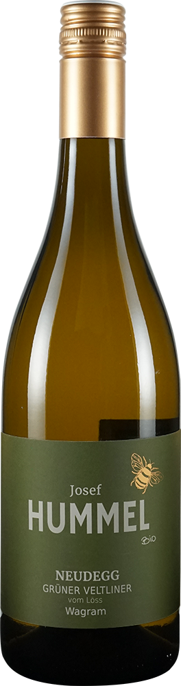 2025 Grüner Veltliner vom Löss BIO