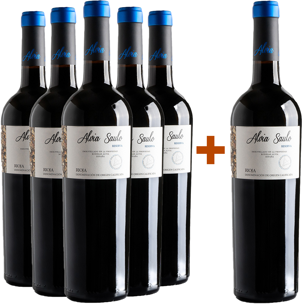5+1 Paket Alvia Sauló Reserva Rioja DOCa