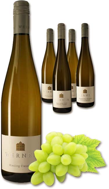 Walnuß Magenschnaps nach altem Hausrezept hergestellt 0,5 L