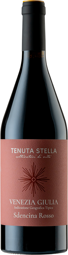 2021 Sdencina Rosso Venezia Giulia IGP BIO