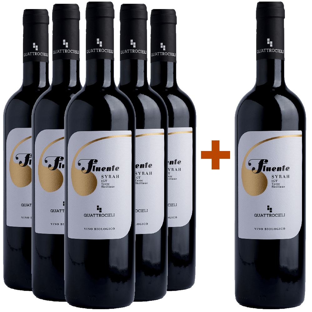 5+1 Paket Fluente Syrah Terre Siciliane IGP BIO