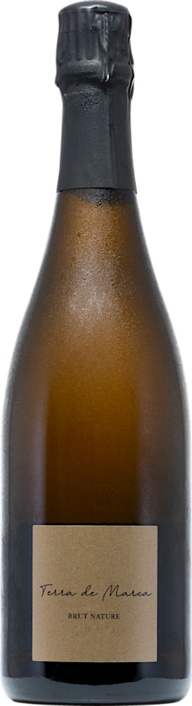 2014 Vintage Cava DO
