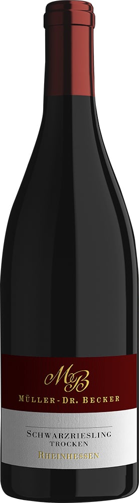 2024 Dalsheimer Schwarzriesling