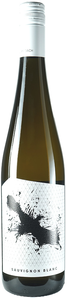 2025 Sauvignon Blanc BIO