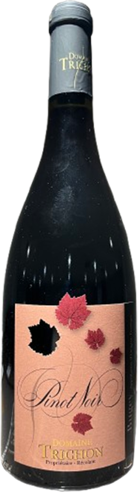 2022 Cuvée Pinot noir Bugey AOC BIO