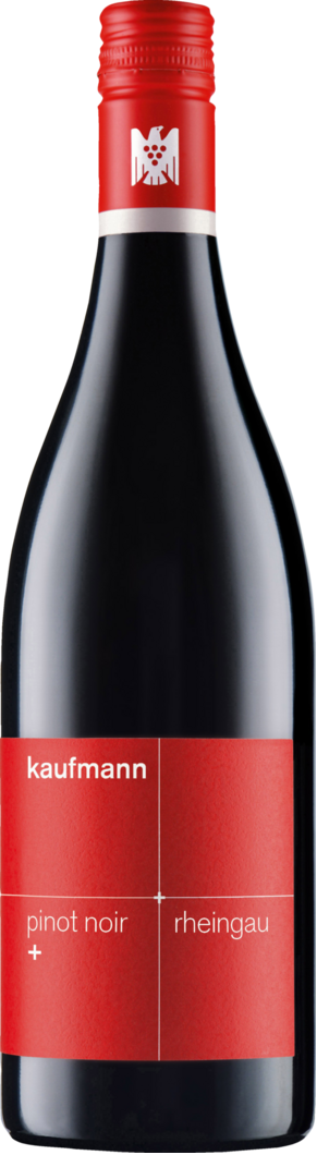 2025 Kaufmann Pinot Noir + BIO
