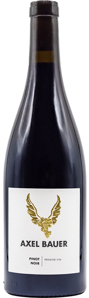 Axel Bauer 2019 Pinot Noir Premier Vin trocken
