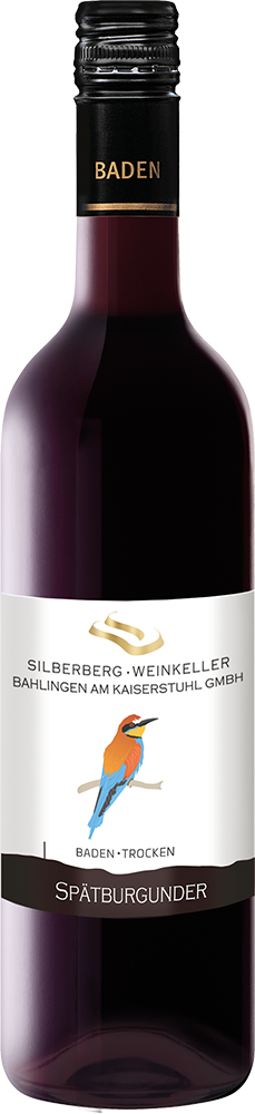 2021 Silberberg Weinkeller Spätburgunder trocken - Markgräfler Winzer