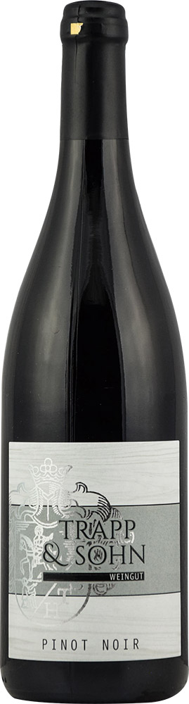 Trapp & Sohn 2020 Rüdesheimer Bischofsberg Pinot Noir trocken